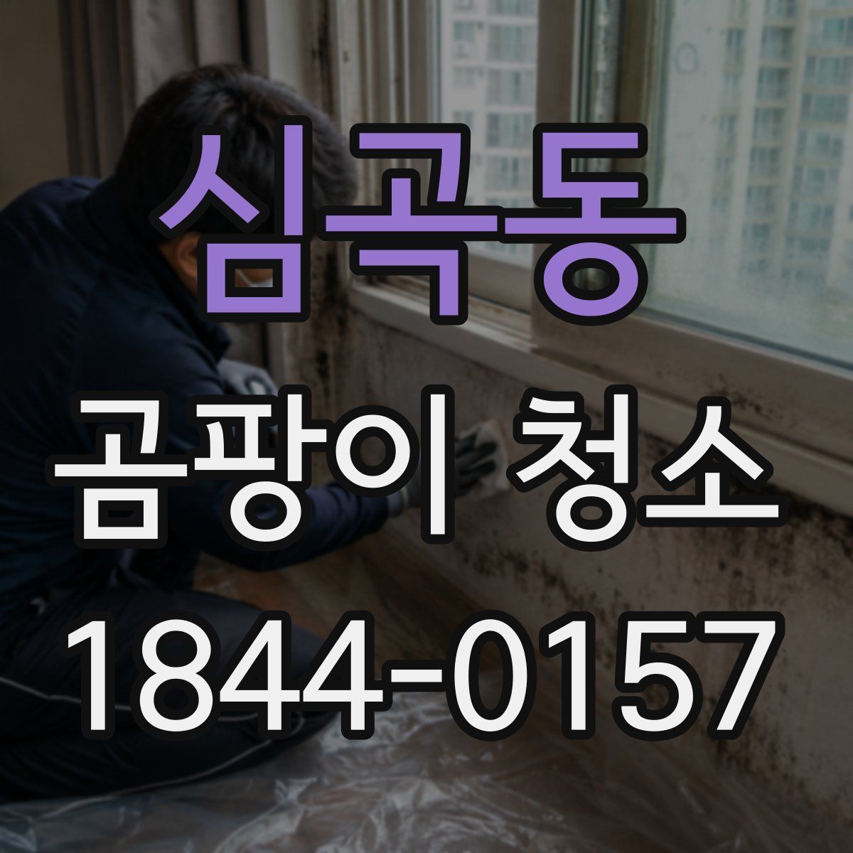 심곡동 곰팡이 청소