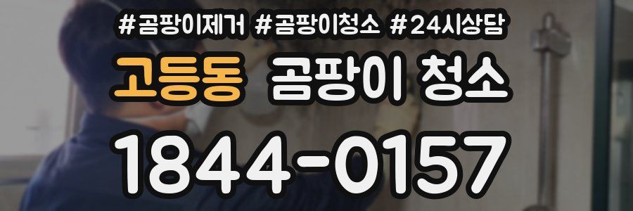 고등동 곰팡이 청소