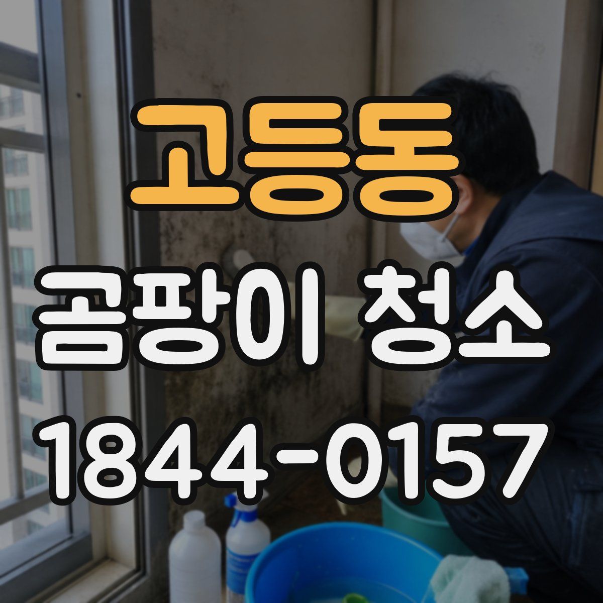 고등동 곰팡이 청소