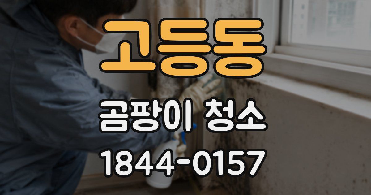 고등동 곰팡이 청소