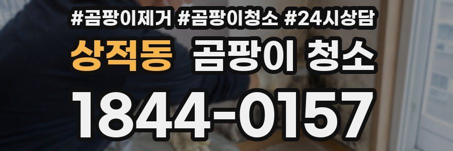 상적동 곰팡이 청소
