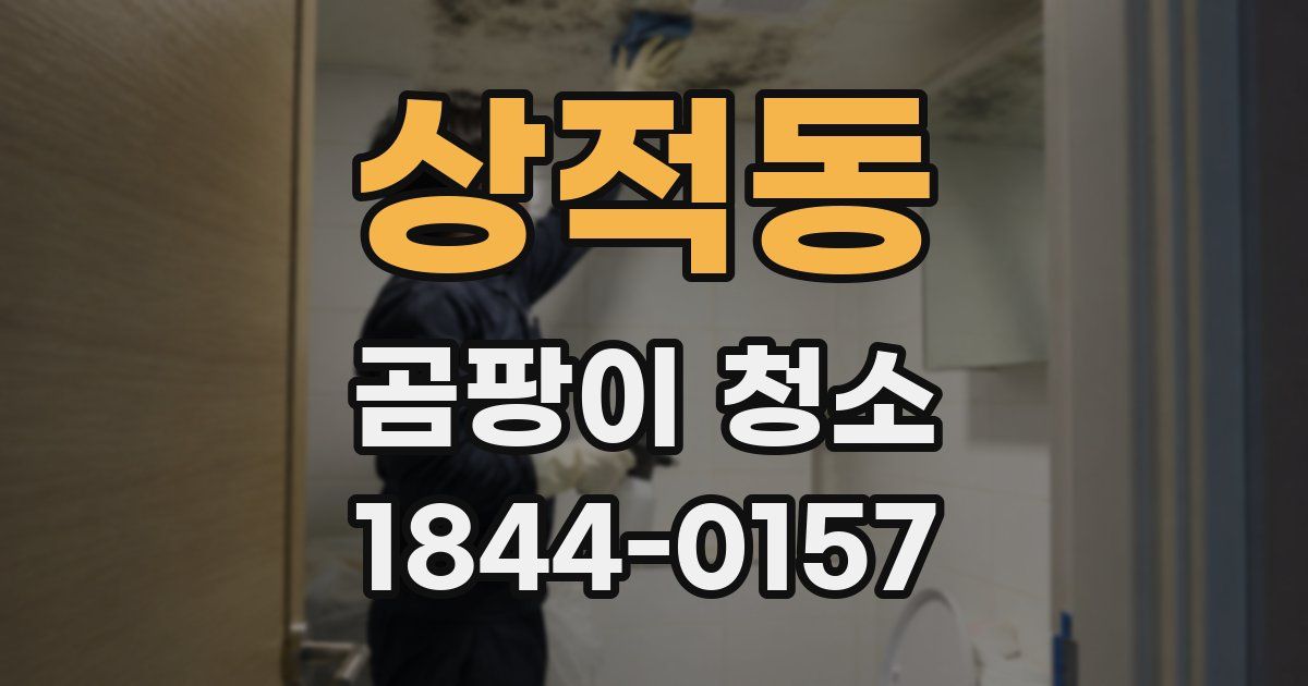 상적동 곰팡이 청소