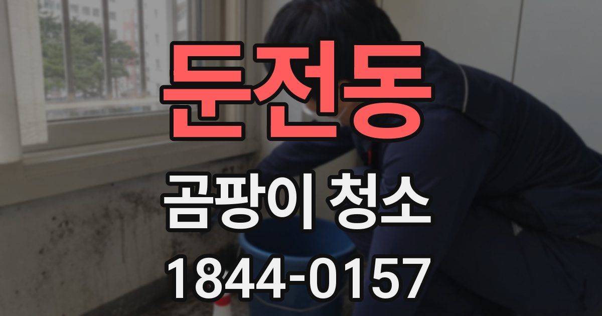 둔전동 곰팡이 청소