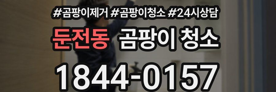 둔전동 곰팡이 청소