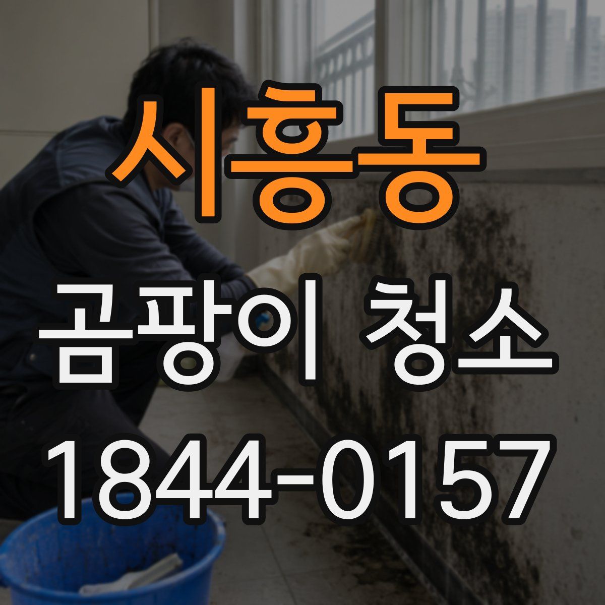 시흥동 곰팡이 청소