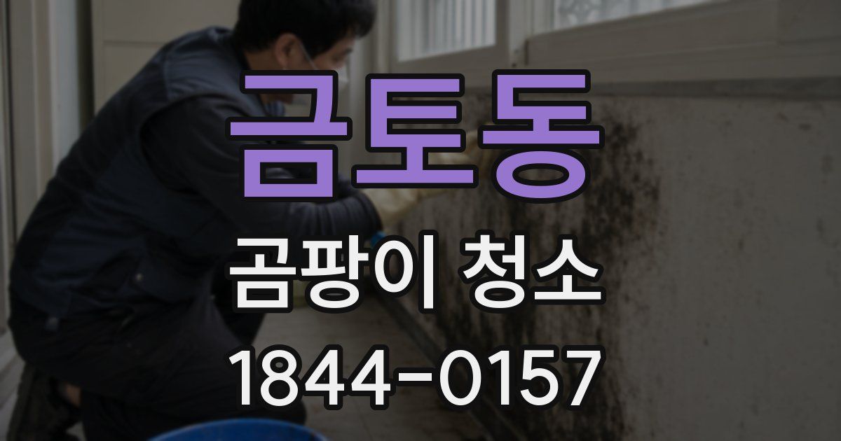 금토동 곰팡이 청소
