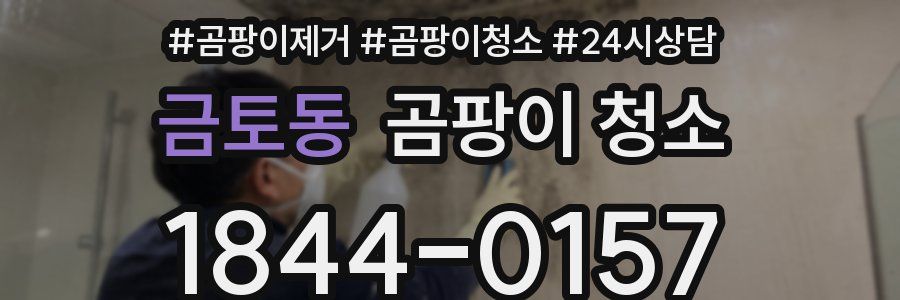 금토동 곰팡이 청소