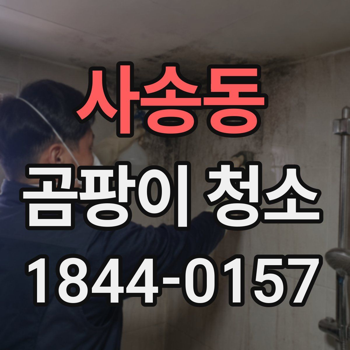 사송동 곰팡이 청소