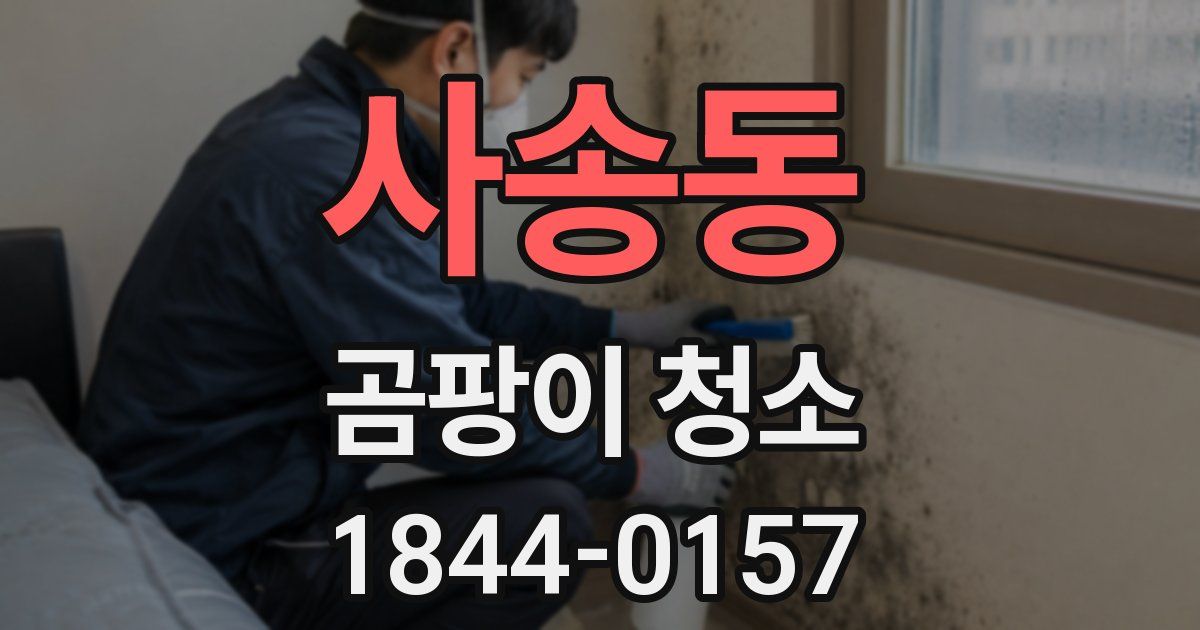 사송동 곰팡이 청소