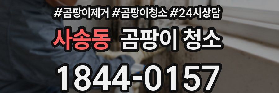 사송동 곰팡이 청소