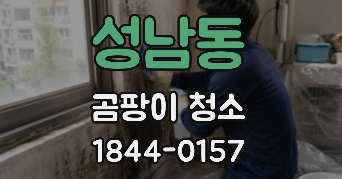 성남동 곰팡이 청소
