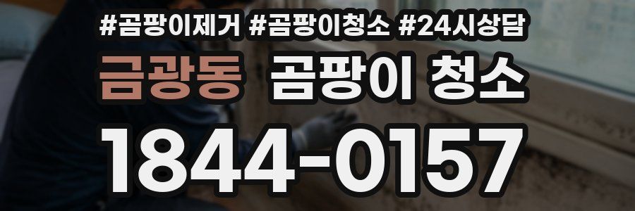금광동 곰팡이 청소