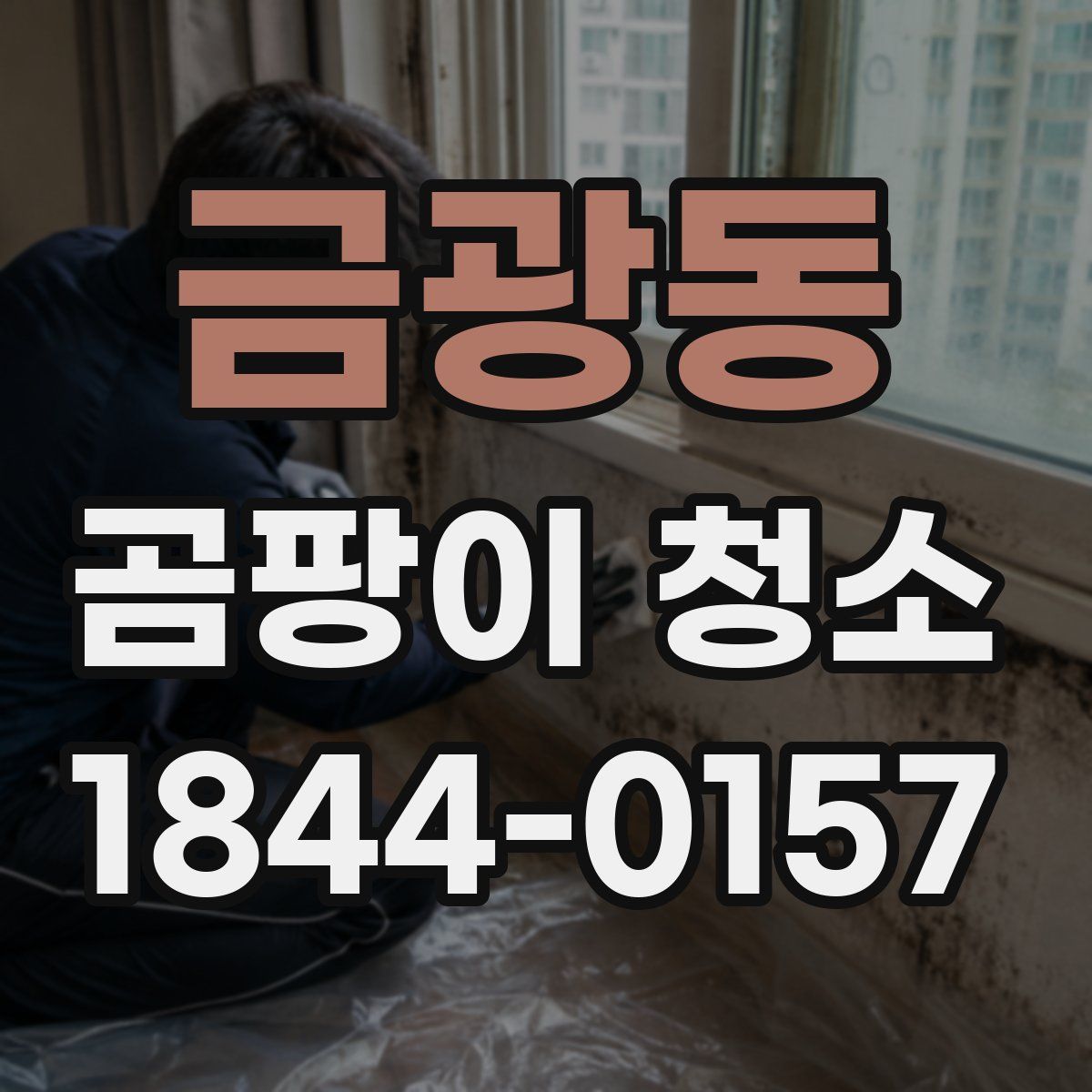 금광동 곰팡이 청소