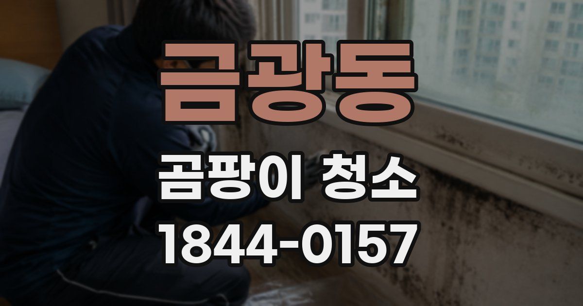 금광동 곰팡이 청소