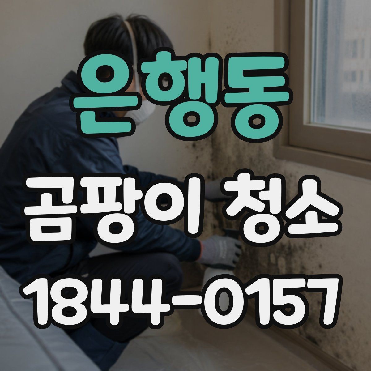 은행동 곰팡이 청소 실내 습도와 건조 상태를 함께 관리하는 방법