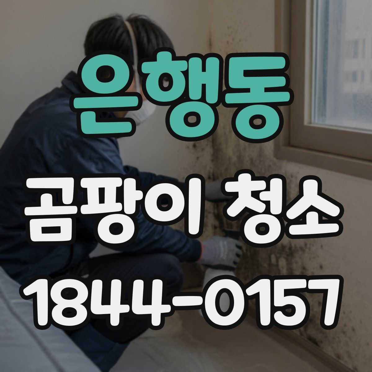 은행동 곰팡이 청소