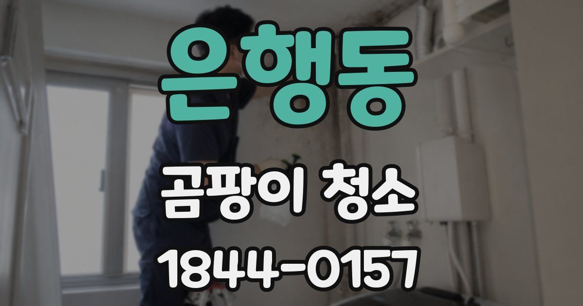 은행동 곰팡이 청소