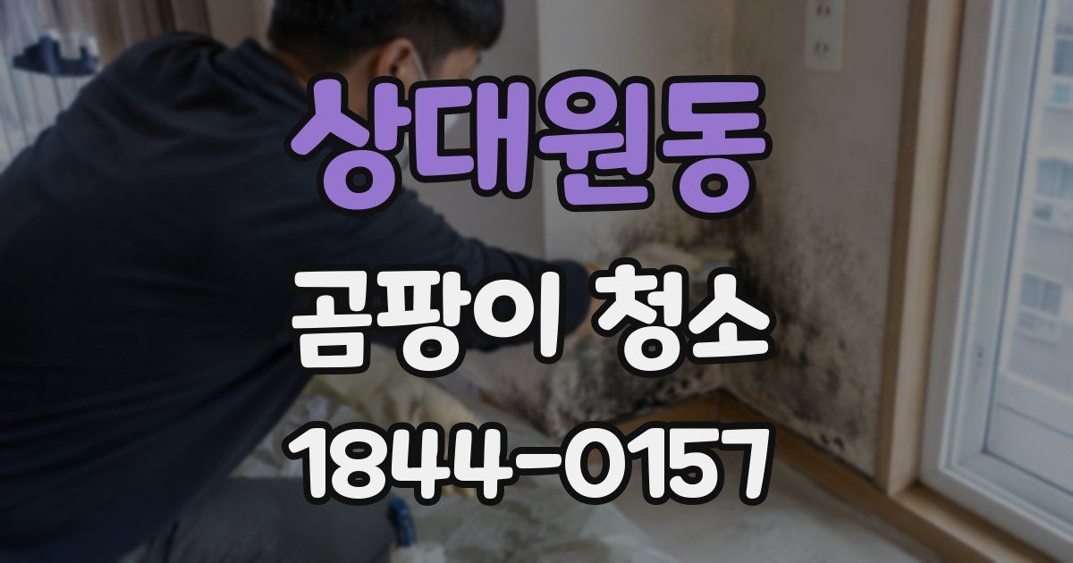 상대원동 곰팡이 청소