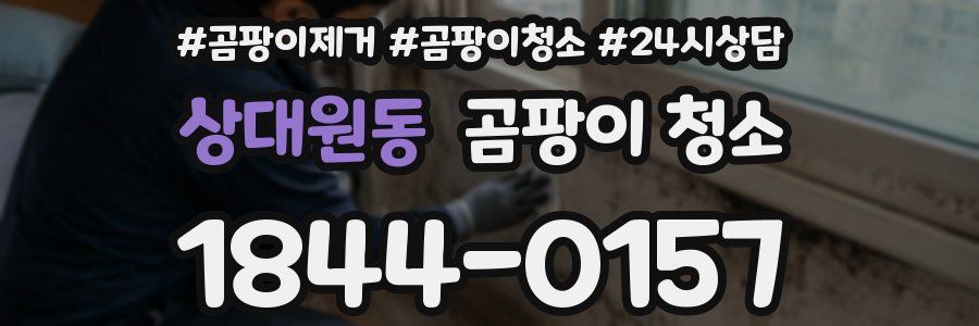 상대원동 곰팡이 청소