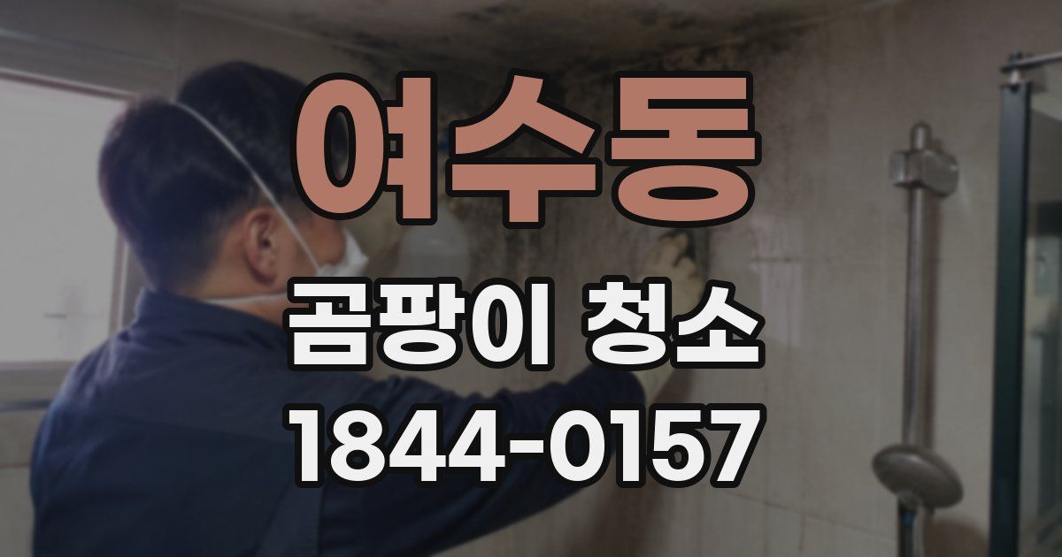 여수동 곰팡이 청소