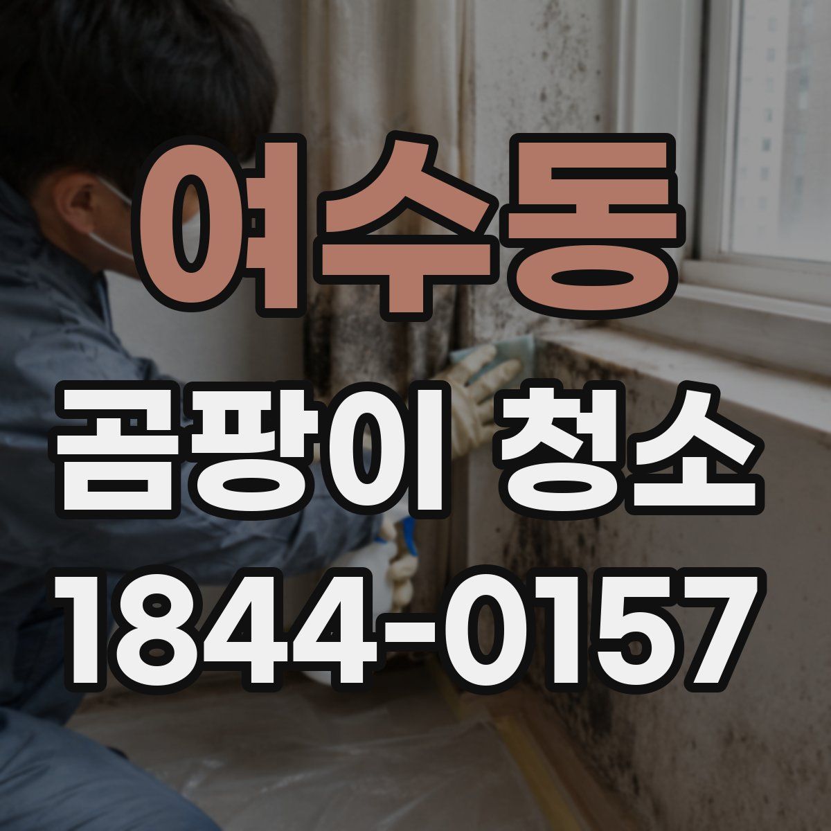 여수동 곰팡이 청소