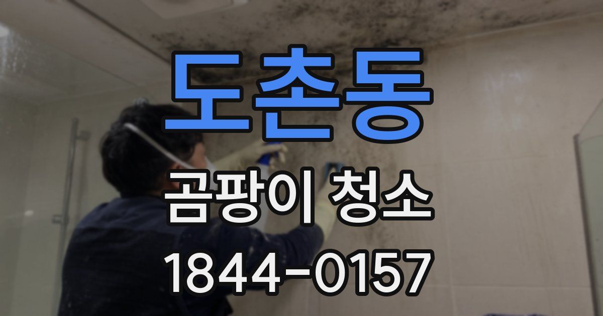 도촌동 곰팡이 청소