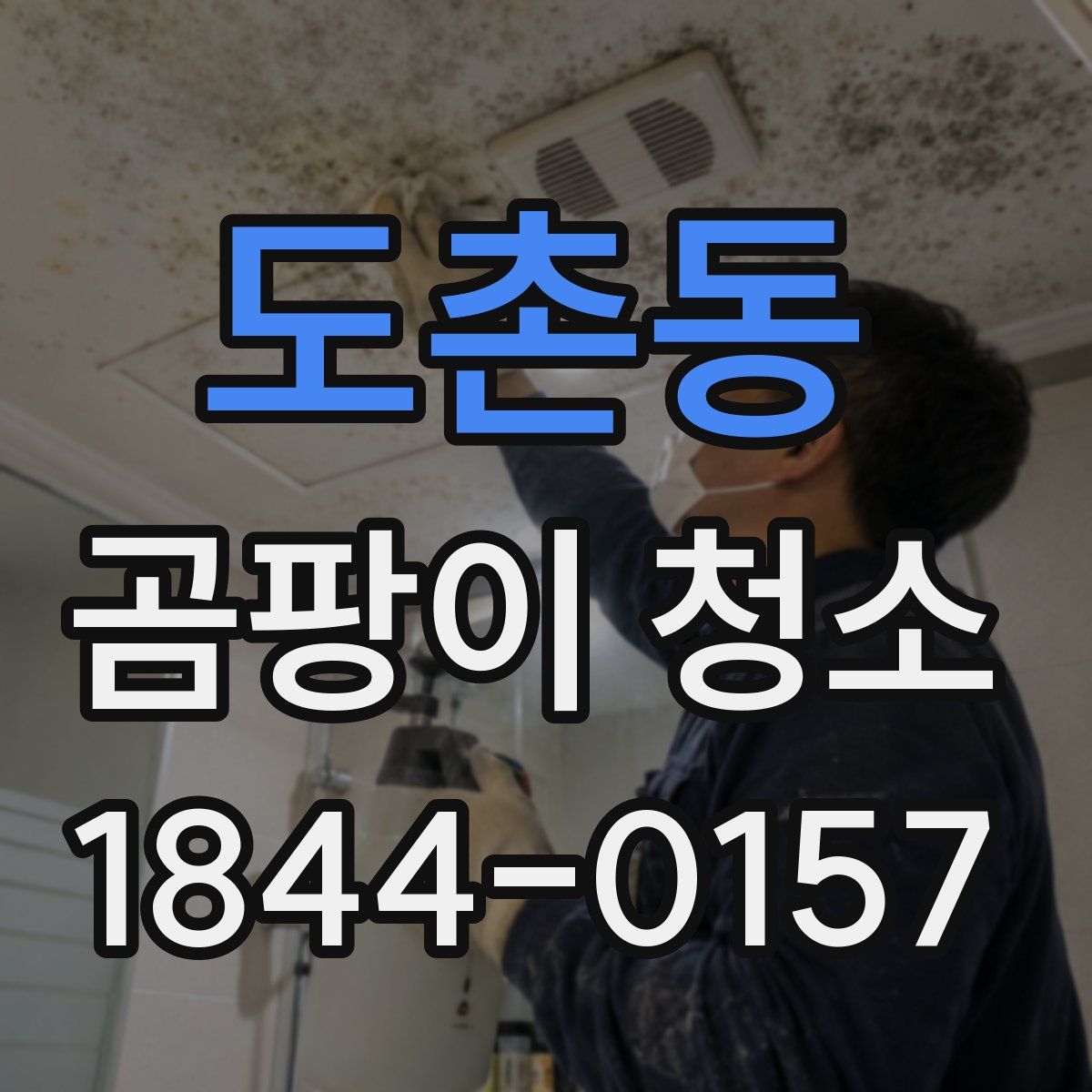도촌동 곰팡이 청소