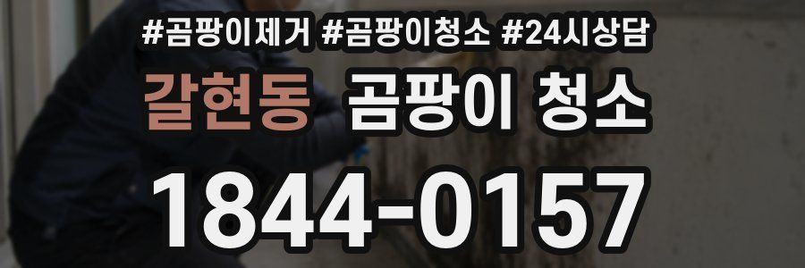 갈현동 곰팡이 청소