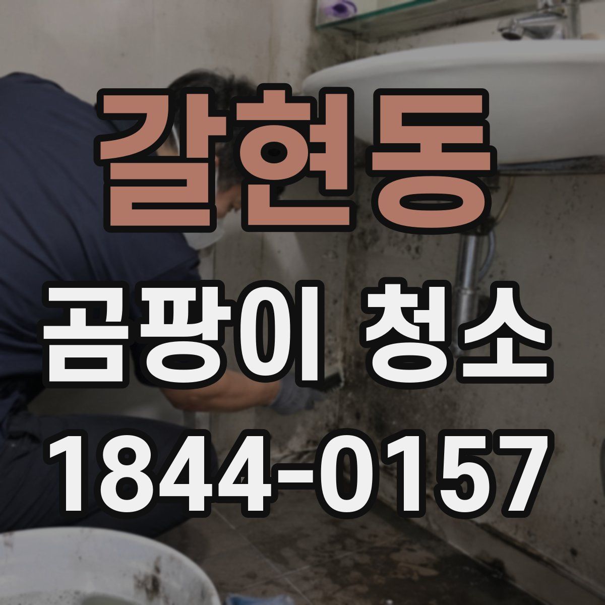 갈현동 곰팡이 청소