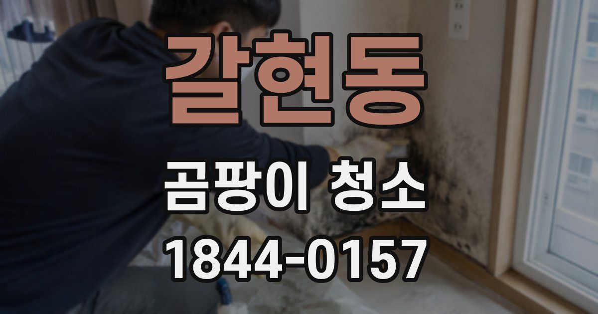 갈현동 곰팡이 청소