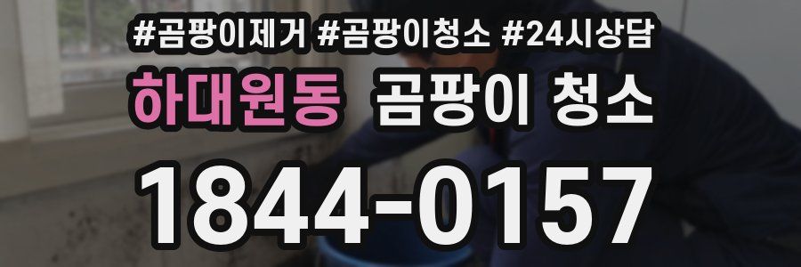 하대원동 곰팡이 청소