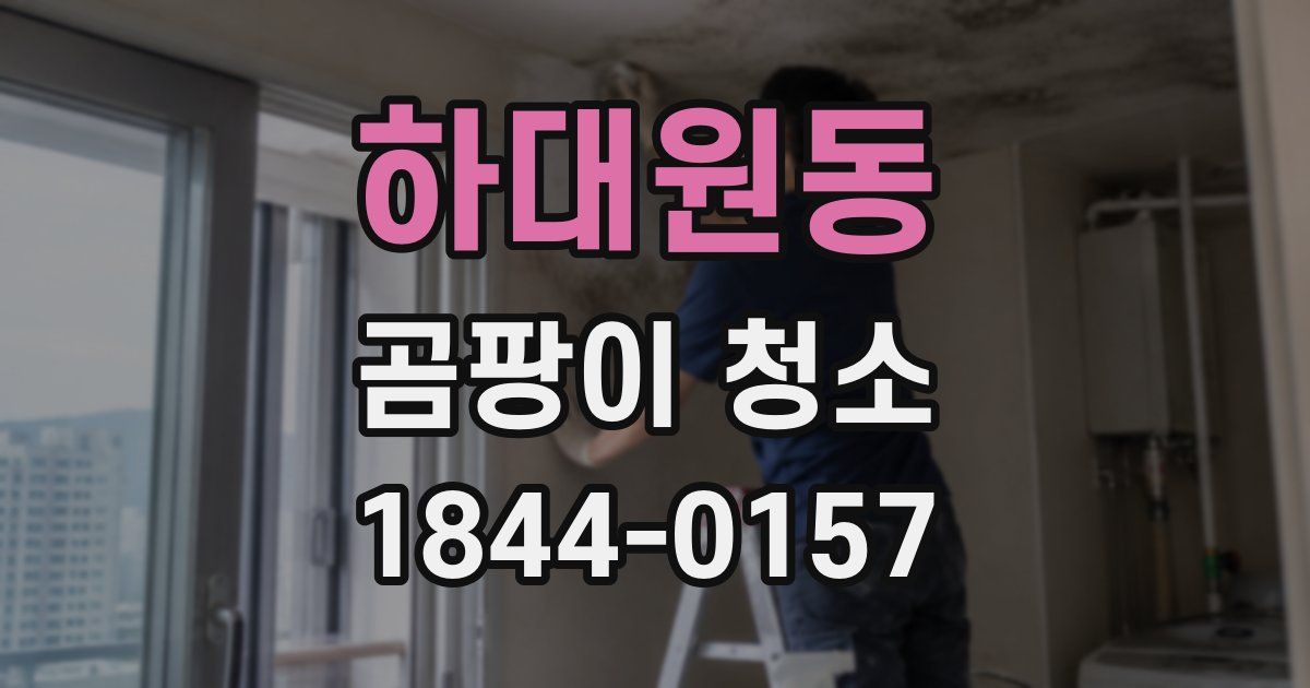 하대원동 곰팡이 청소