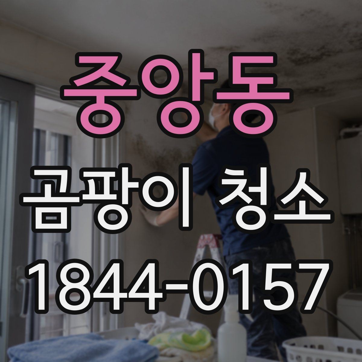 중앙동 곰팡이 청소 약품 사용 시 마감재 손상 줄이는 점검 항목