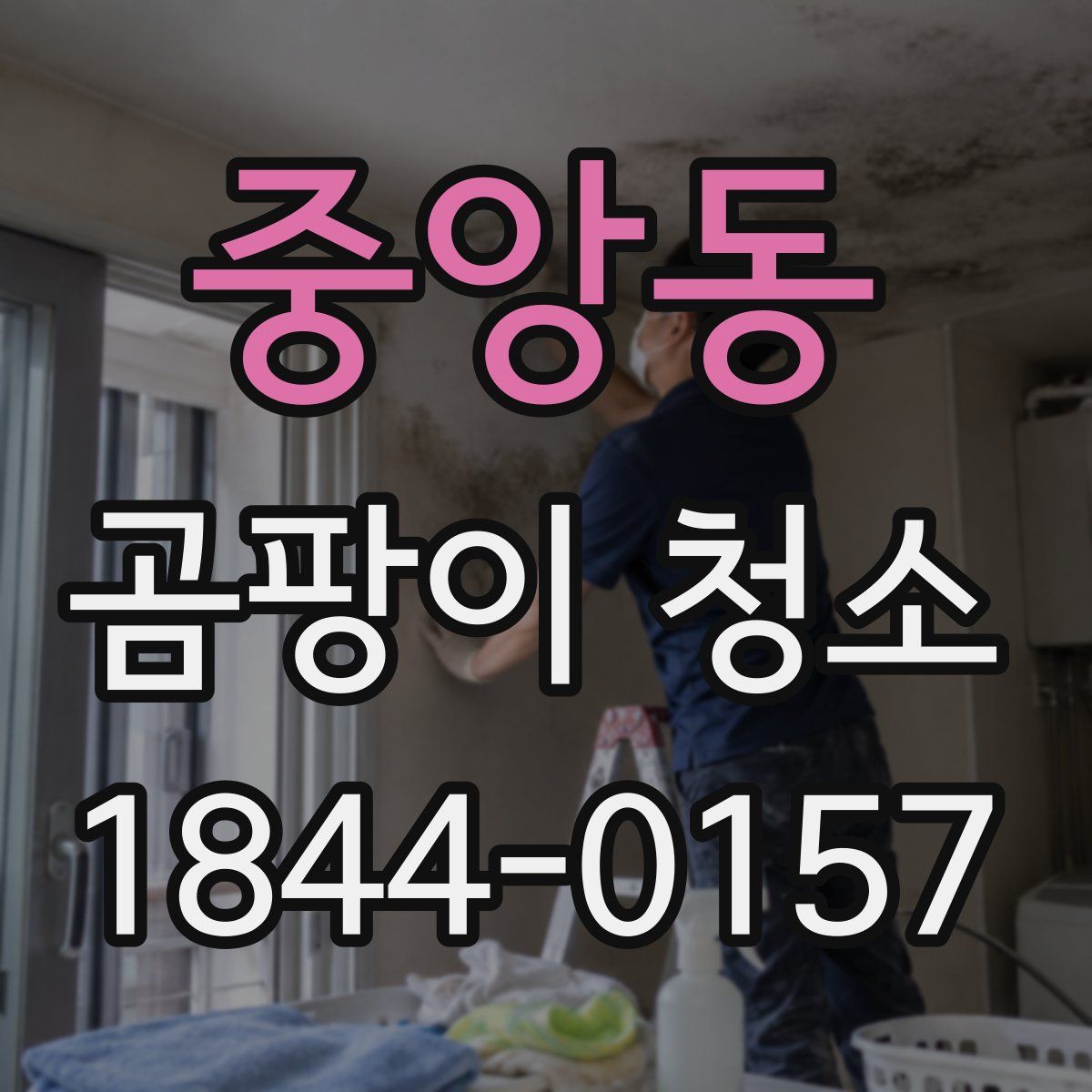 중앙동 곰팡이 청소