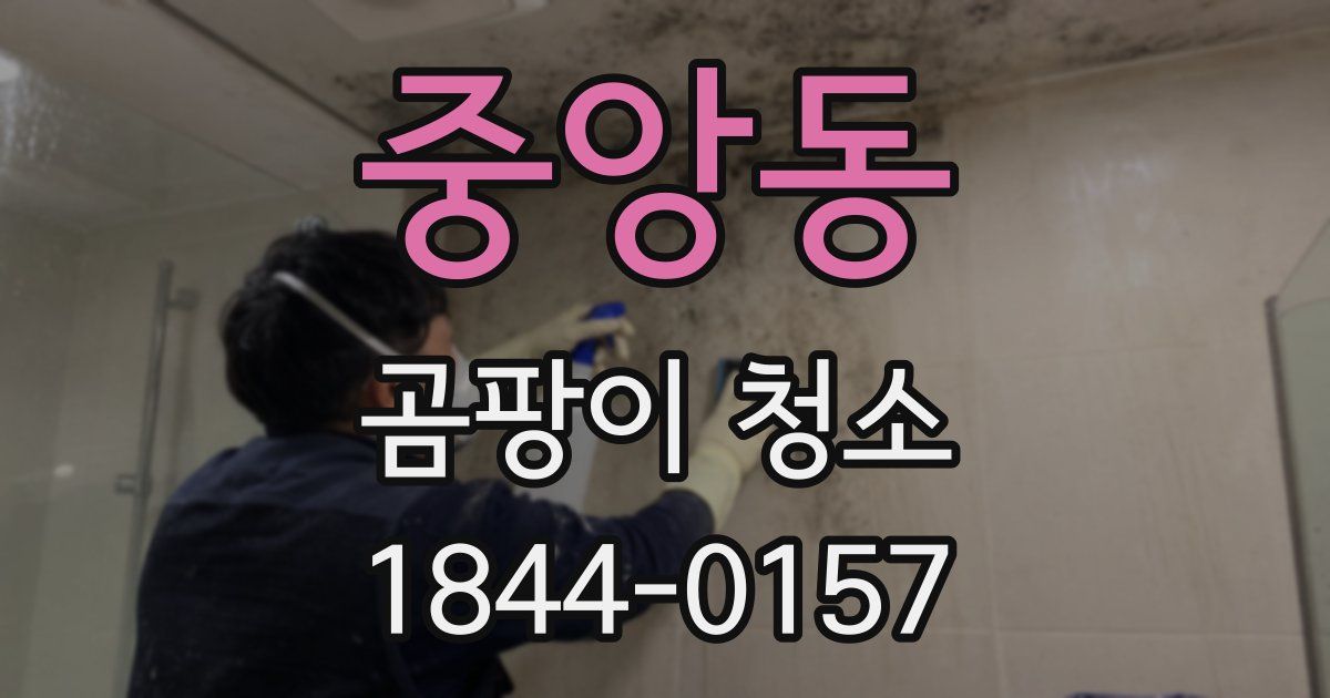 중앙동 곰팡이 청소