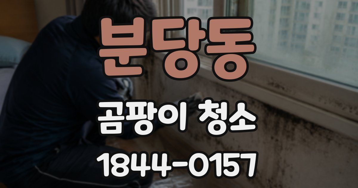 분당동 곰팡이 청소