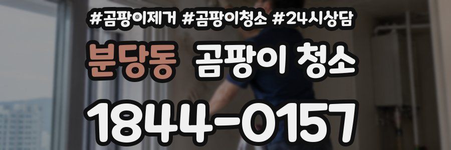 분당동 곰팡이 청소