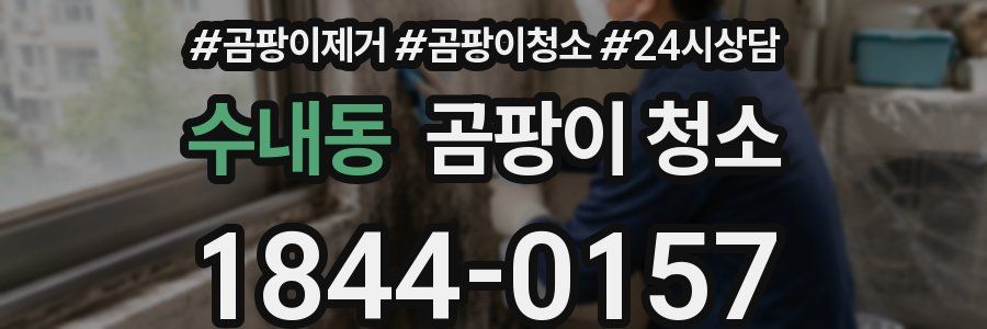 수내동 곰팡이 청소