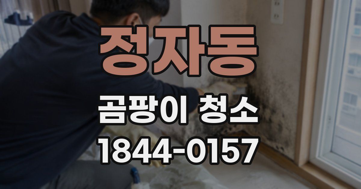 정자동 곰팡이 청소
