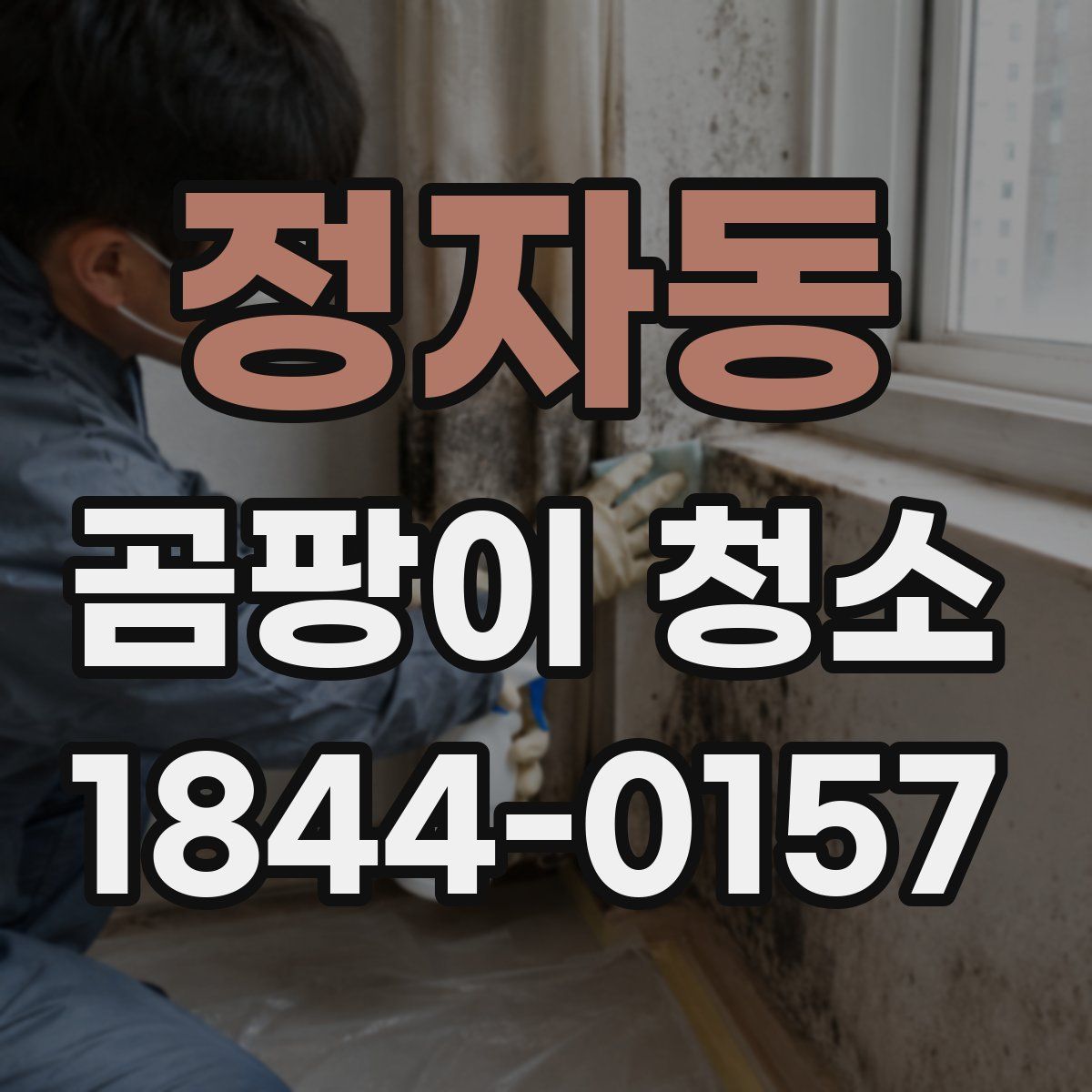정자동 곰팡이 청소