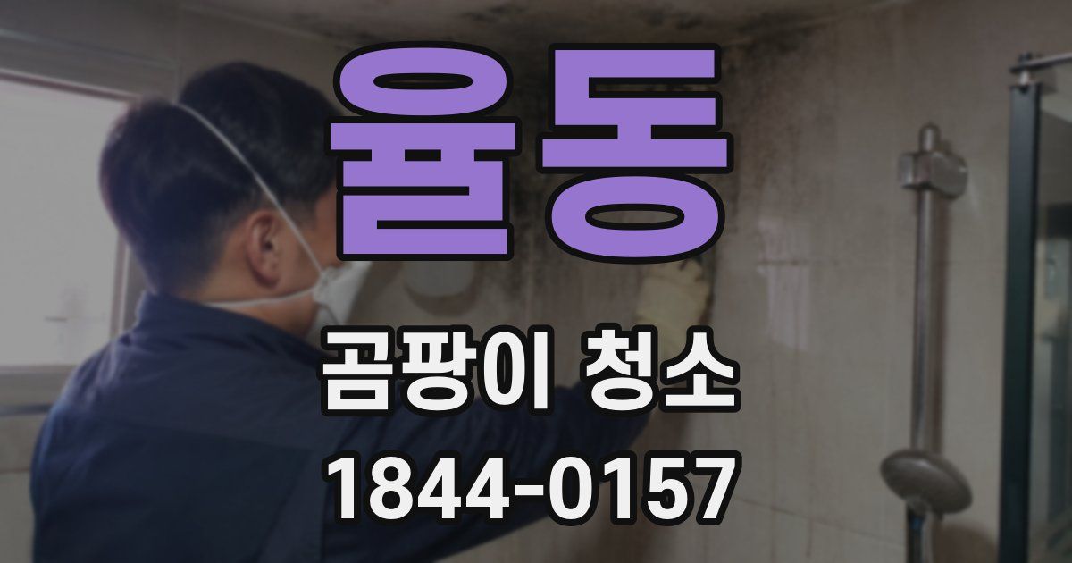 율동 곰팡이 청소