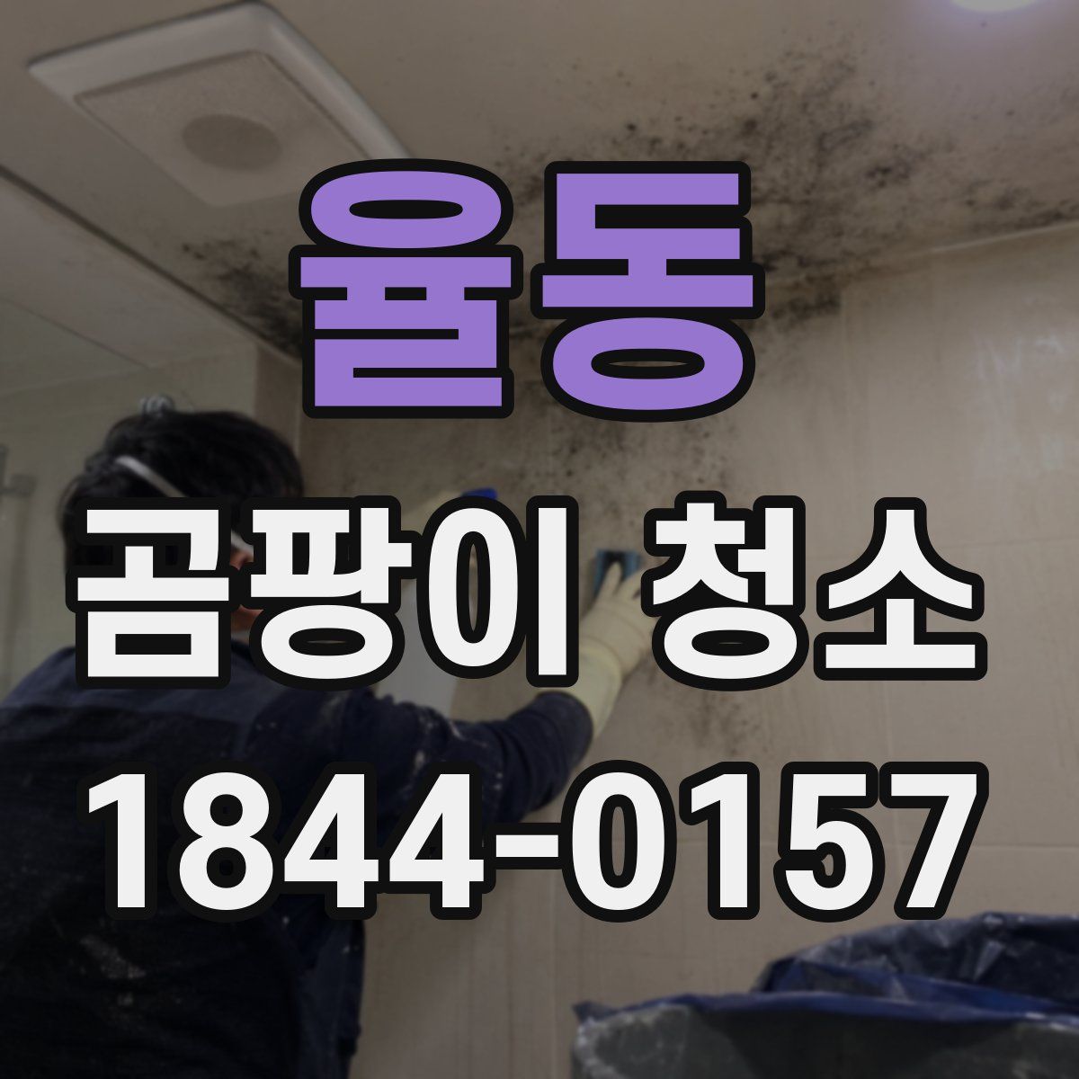 율동 곰팡이 청소