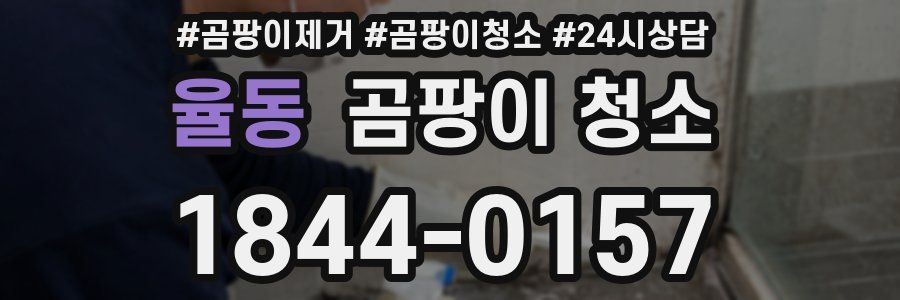 율동 곰팡이 청소