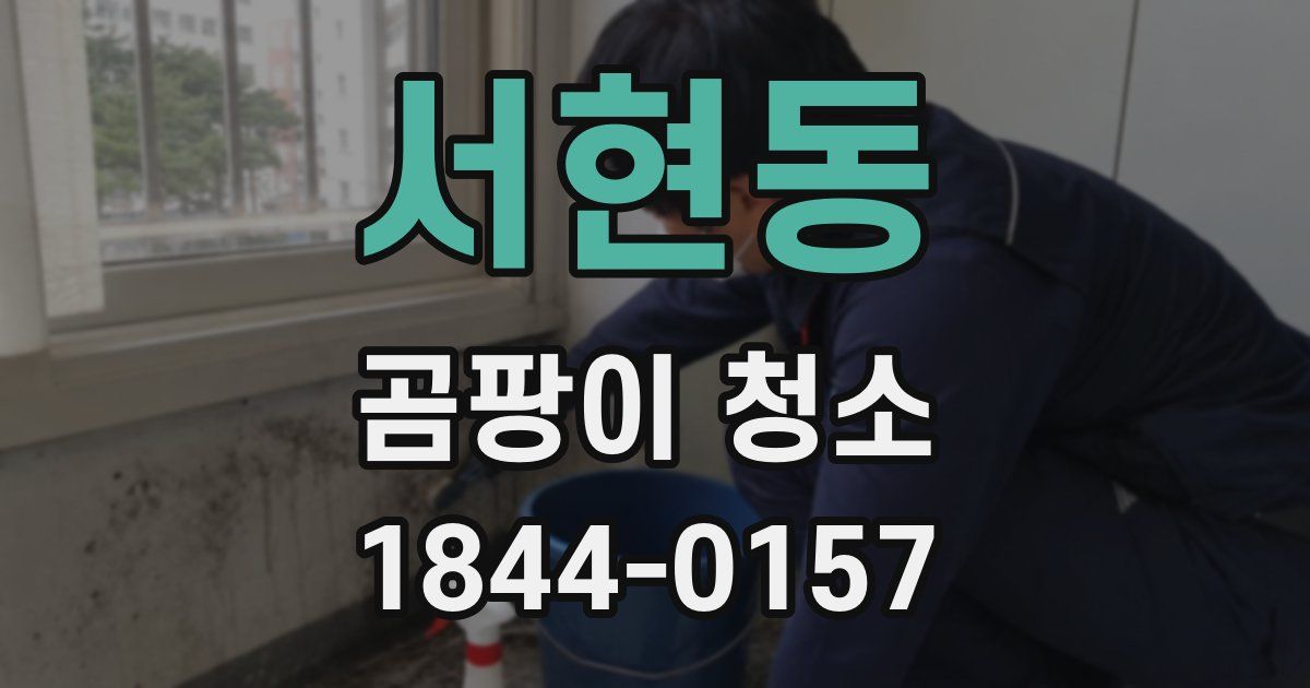 서현동 곰팡이 청소