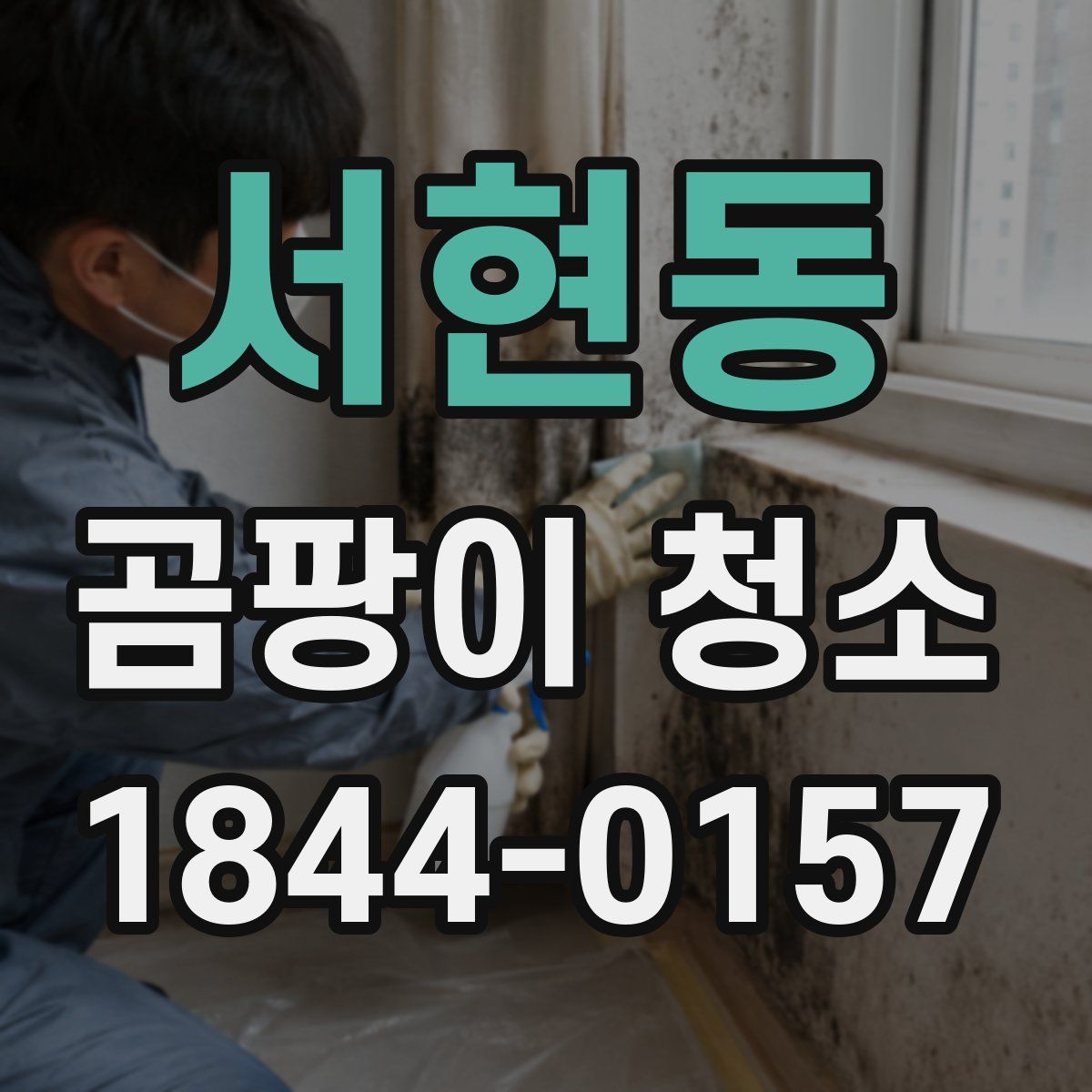 서현동 곰팡이 청소