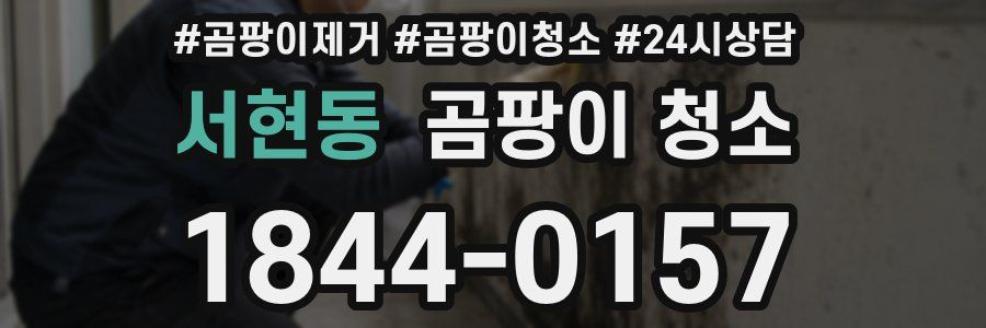 서현동 곰팡이 청소
