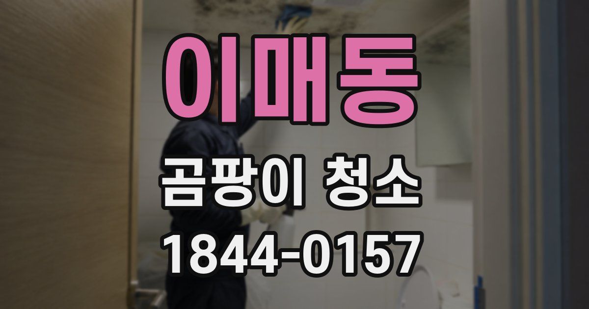 이매동 곰팡이 청소