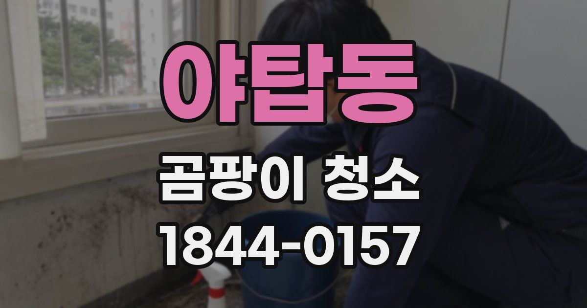야탑동 곰팡이 청소