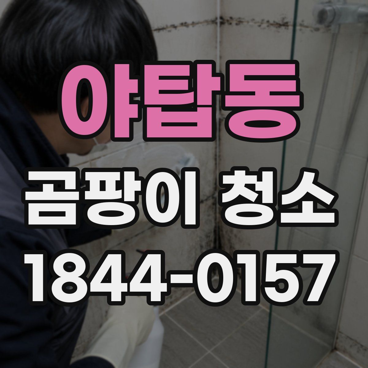 야탑동 곰팡이 청소