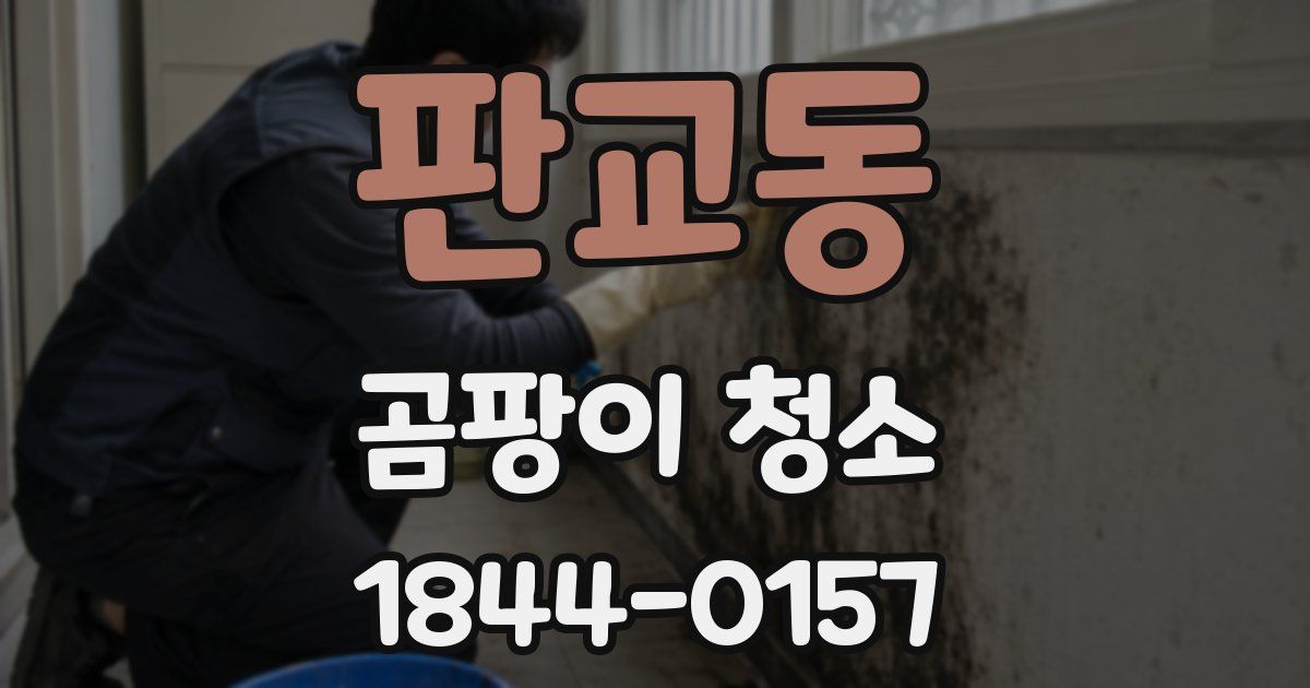 판교동 곰팡이 청소
